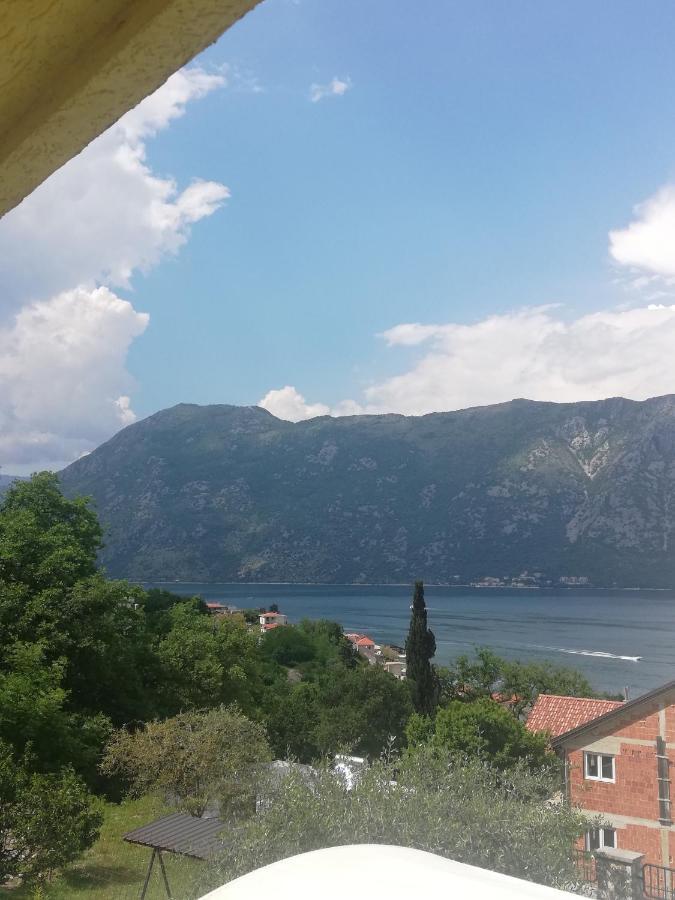 Apartment Ksenija Kotor Exteriér fotografie